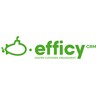 Logo EFFICY FRANCE