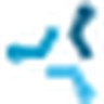 Logo ICODIA