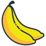 Logo EVOLIZ