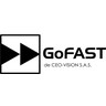 Logo CEO-VISION