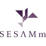Logo SESAMM