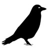 Logo NEUTRAL NEWS