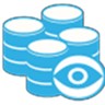 Logo DATASENTINEL