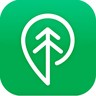 Logo TREEBAL