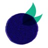 Logo MIRTILLO